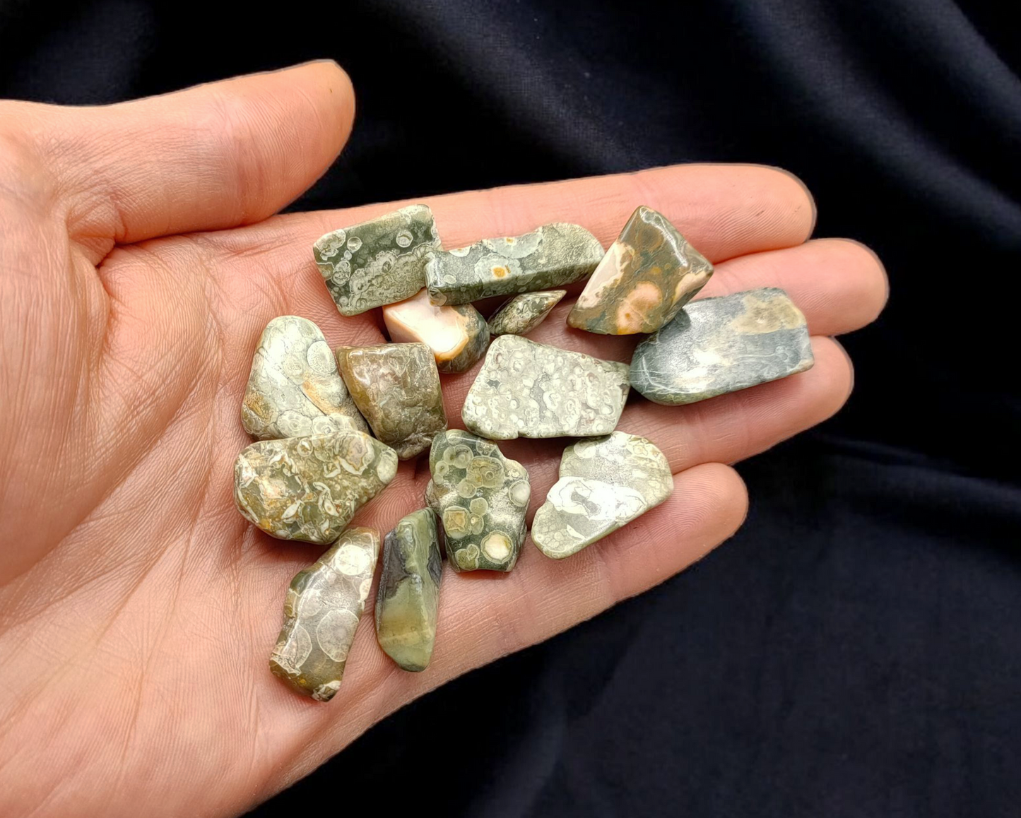 1KG Rainforest Jasper Chips