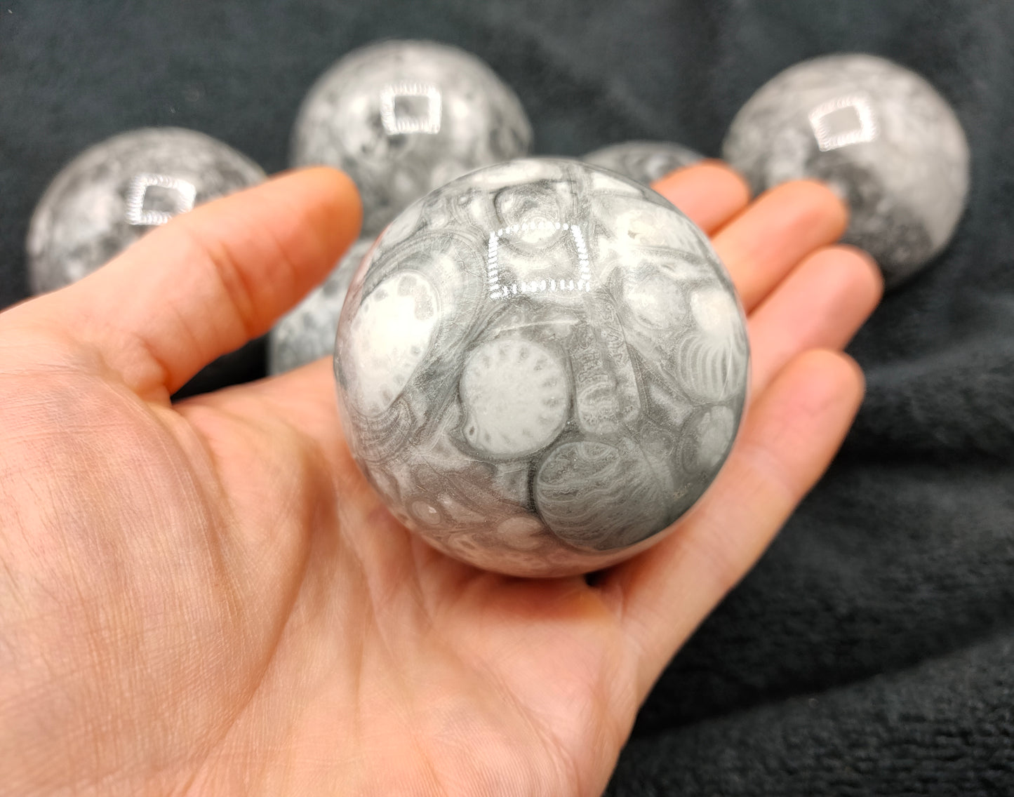 2KG Shell Stone Jasper Sphere's