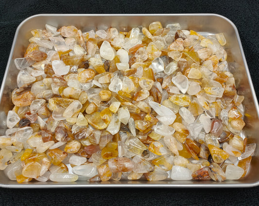 1KG Golden Healer chips