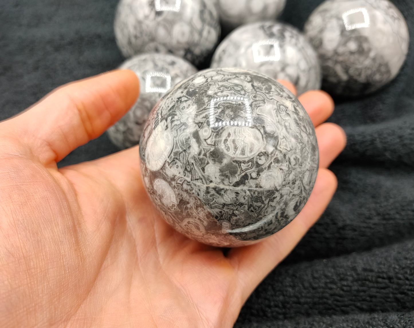 2KG Shell Stone Jasper Sphere's