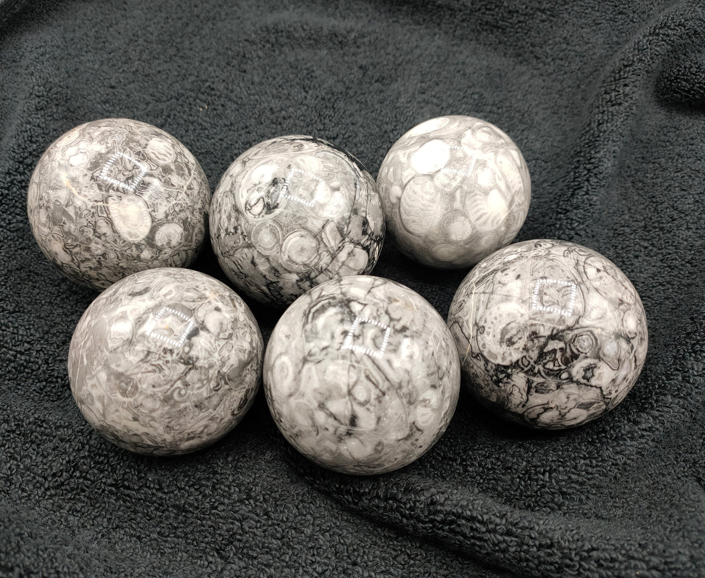 2KG Shell Stone Jasper Sphere's