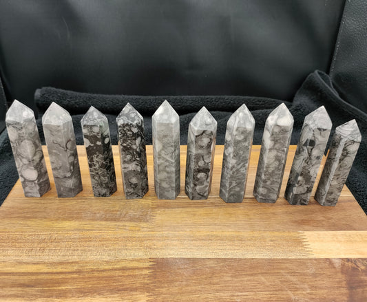1KG Shell Jasper Towers