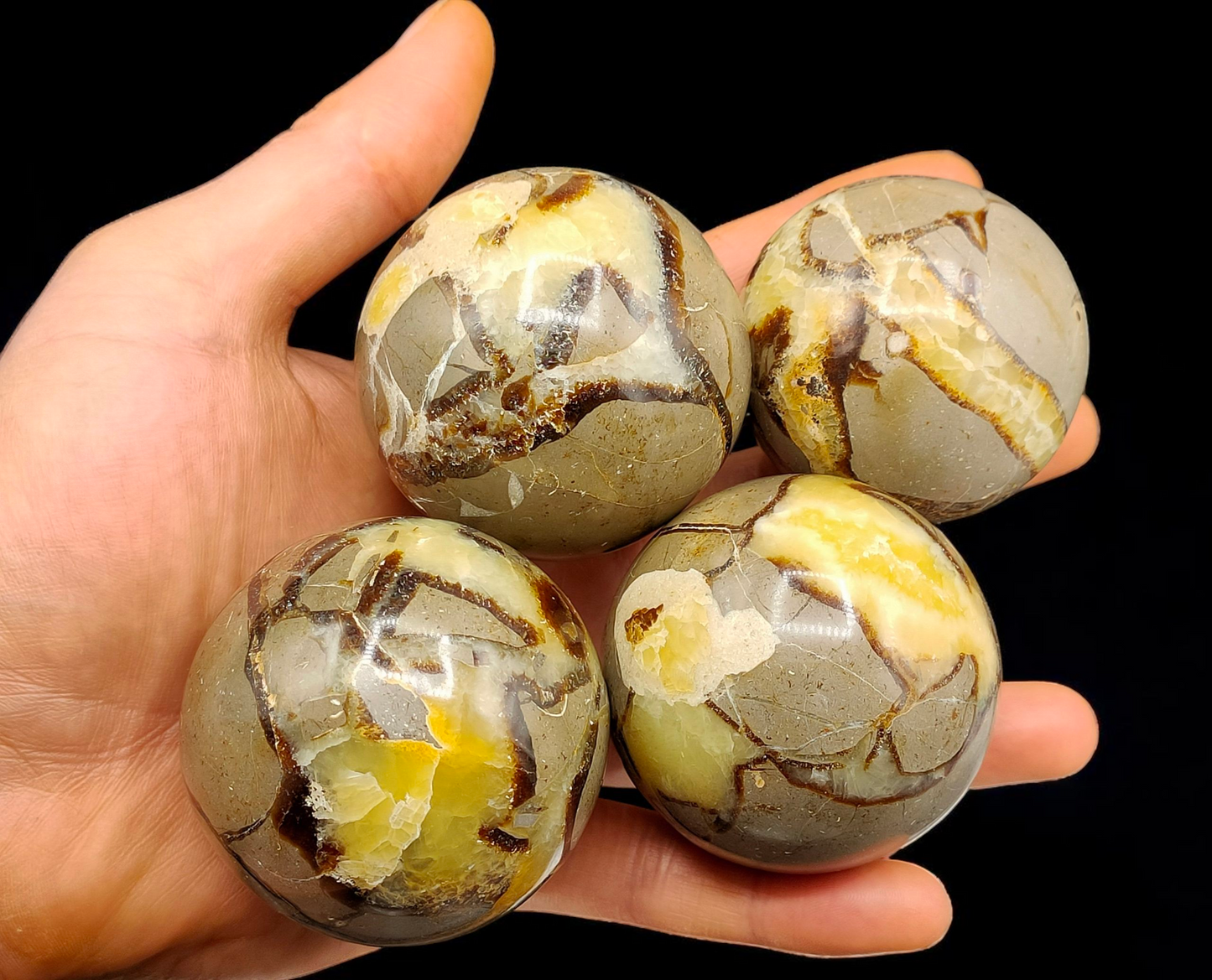 1Kg Septarian Spheres